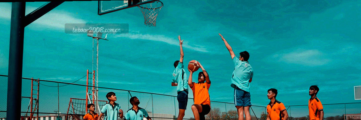 草皮纹理抽象特写，低对比冷绿色调，作为条款页的氛围底图
